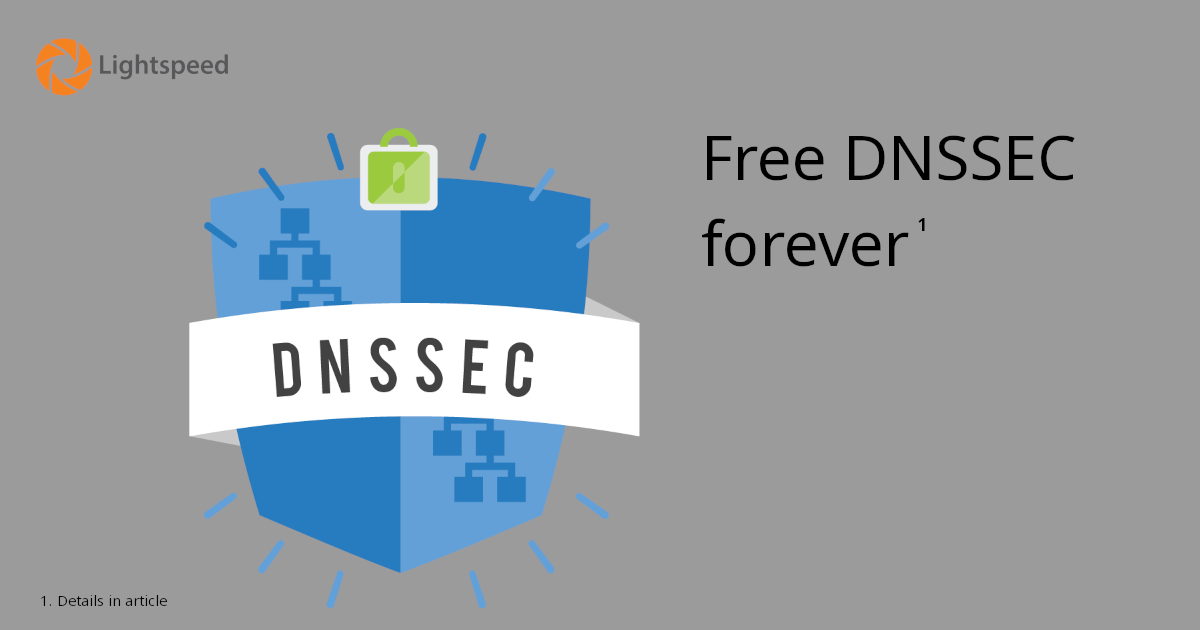 Domain Security And Verification (DNSSEC) - Lightspeed Technologies